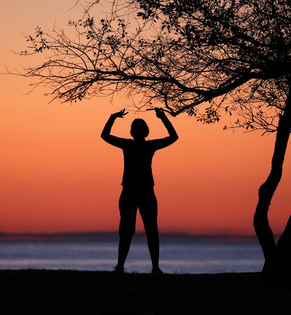Silhouette of a person in a tree yoga pose during sunset.